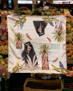 Pañoleta Ref. Páramo